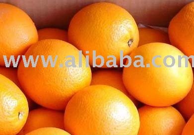 FRESH PICOLITO FRUITS
