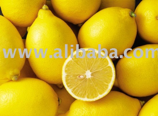 FRESHCITRUS ( NAVEL AND VALENCIA ORANGES ,FRESH LEMONS, LIMES, TANGERINS, MANDARINS AND OTHERS)