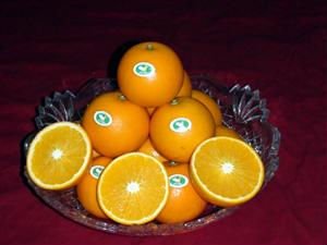 navel orange