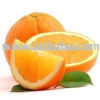 SWEET FRESH MADARIN,ORANGES AND OTHER CITRUS FRUITS READY FOR SHIPPING