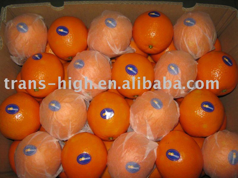 navel  orange