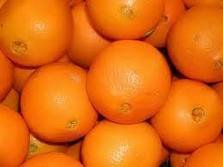 Fresh Oranges