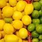  Fresh   Citrus   Fruit 