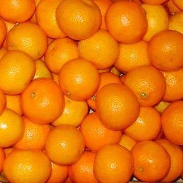 Id orange. Egyptian Citrus мандарины. Какого цвета должен быть апельсин. Оранжевый восторг. Almostafa апельсины.