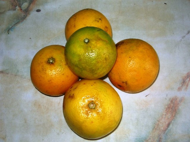 Natural and fresh orange