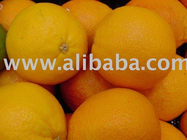 Navel Oranges