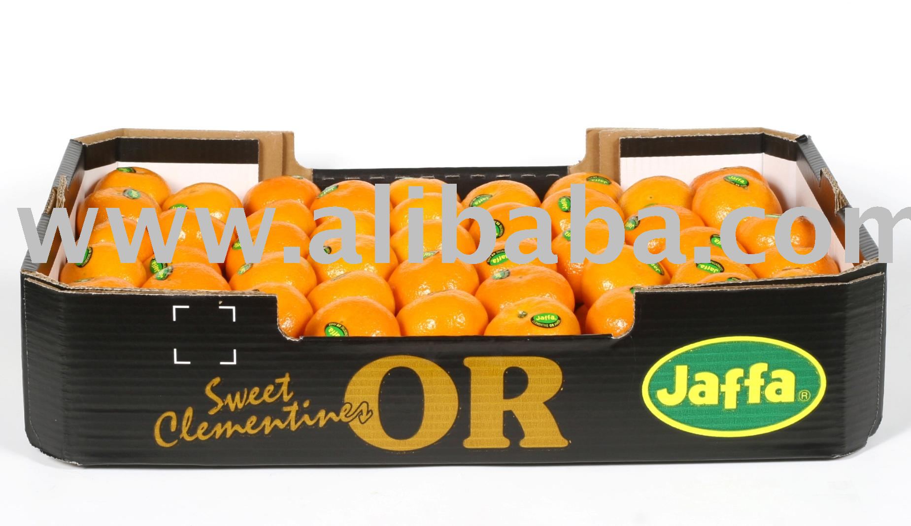 Valencia Orange