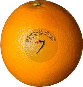 Fresh Oranges Washington ( Navel )