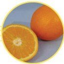 Rustenburg Late  citrus