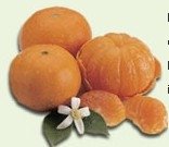 TANGERINE