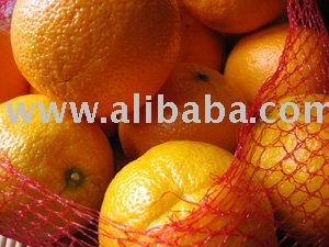 Valencia Oranges