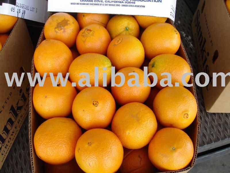 Navel Orange