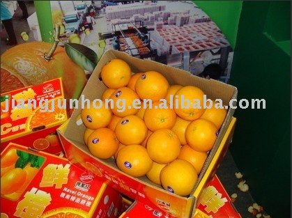 General Red Newhall Navel Orange