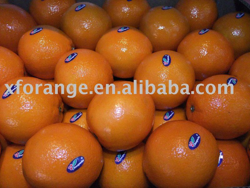 fresh orange citrus fruit