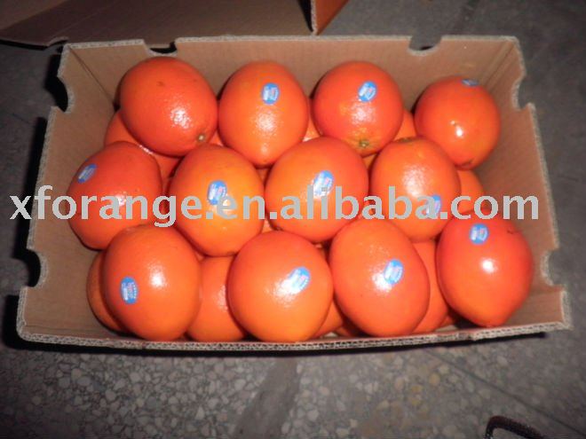 Navel orange fruit