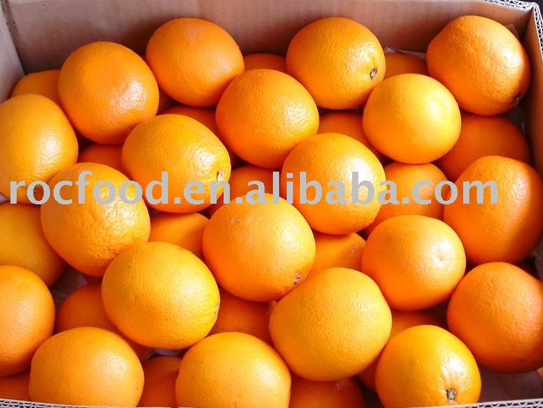  Jiangxi   navel   orange 