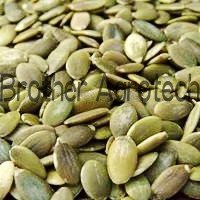 Pumpkin kernels high quality new crop 2010