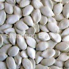 snow white pumpkin seed in shell