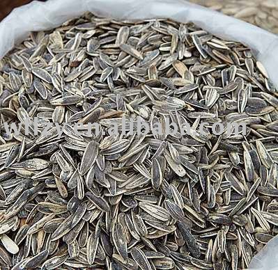 CHINESE sunflower seeds