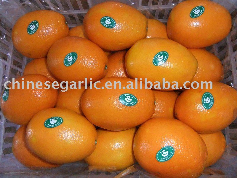 2010 navel orange