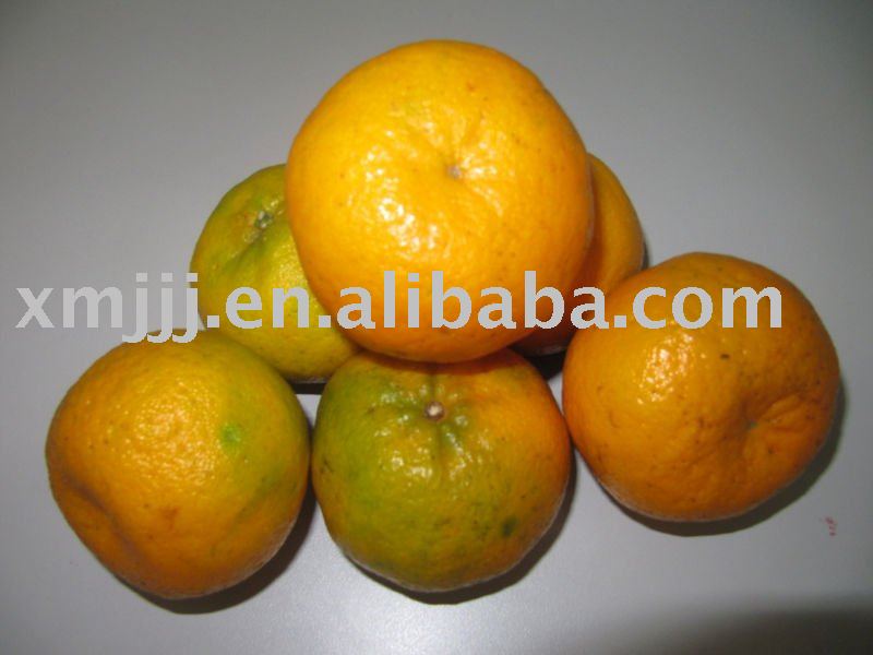 Yong chun Mandarin Orange products,China Yong chun Mandarin Orange supplier