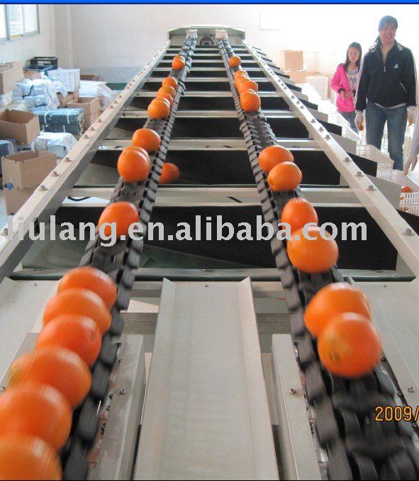 Chinese Gannan fresh mandarin orange