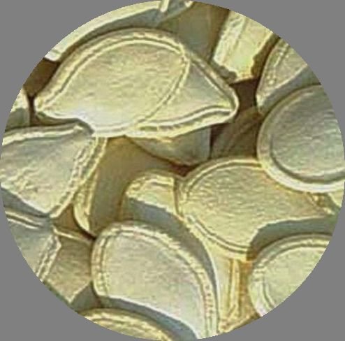 High Quality Shine Skin Pumpkin Seeds