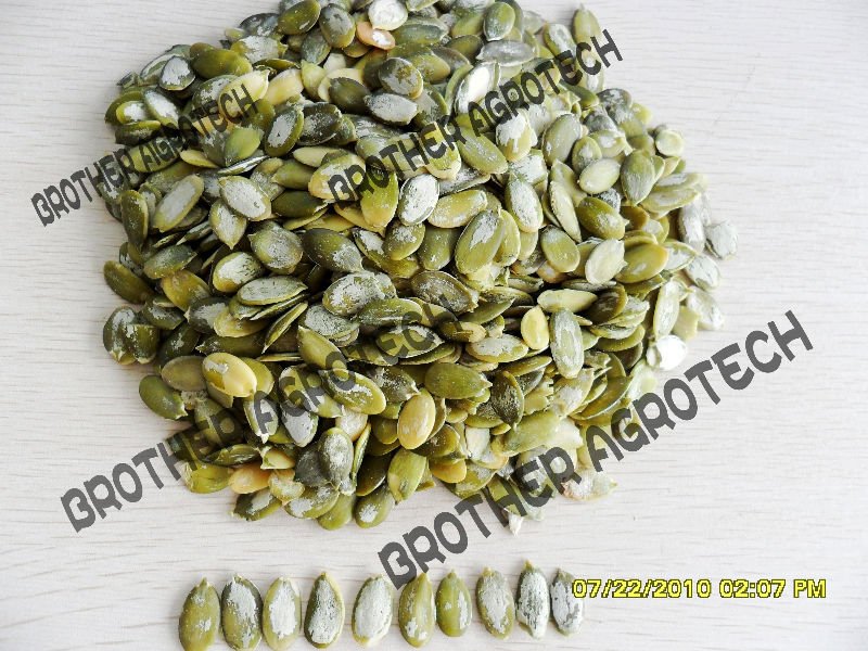 pumpkin kernels of new crop
