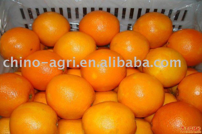 Chinese orange with different size