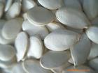Pumpkin Seed