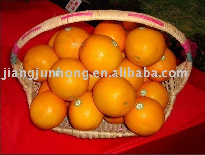 New Red Newhall Navel Orange sale