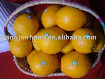 General Red Newhall Navel Orange Wholesale
