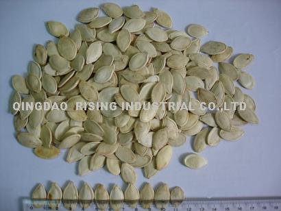 New crop chinese seed kernels