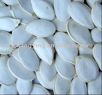 white pumpkin seeds