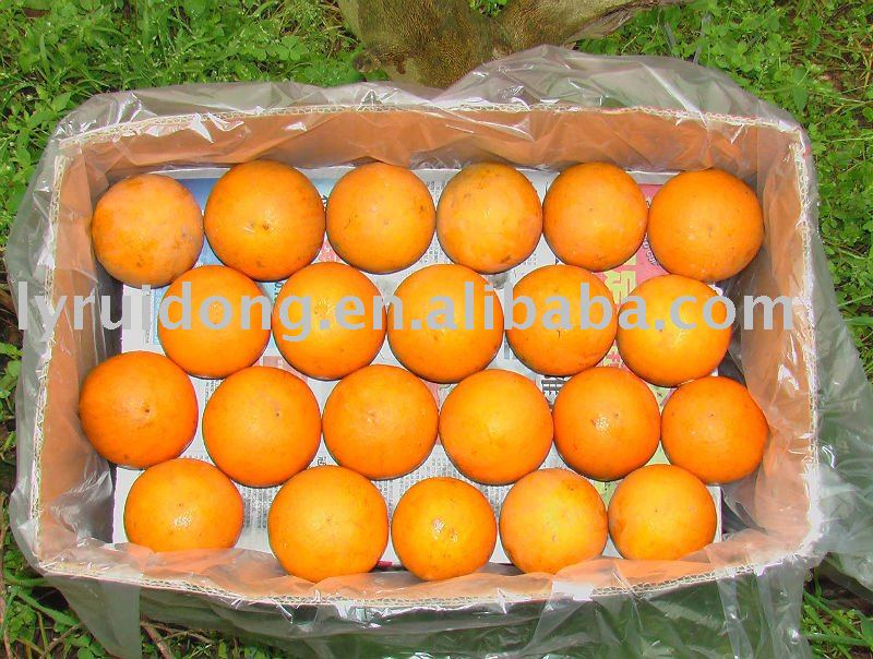 VALENCIA ORANGE