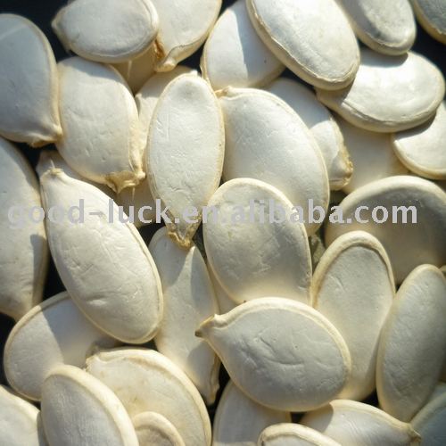 11CM & 13 CM Crop 2010 Snow White Pumpkin Seeds