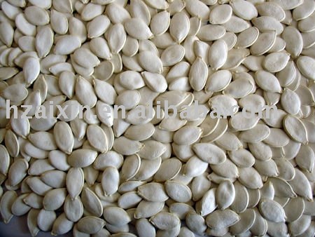 snow white pumpkin seeds in shell