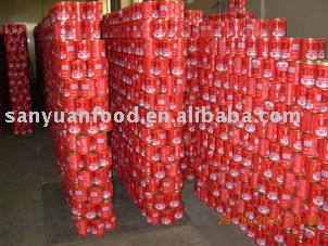 tomato paste(tomato sauce tomato ketchup)