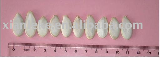 pumpkin seeds