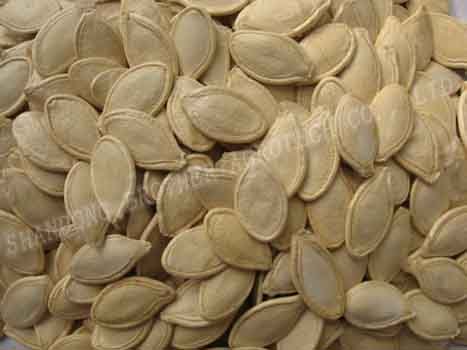 new crop 2010 shine pumpkin seed