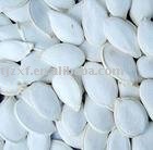 White pumpkin seeds