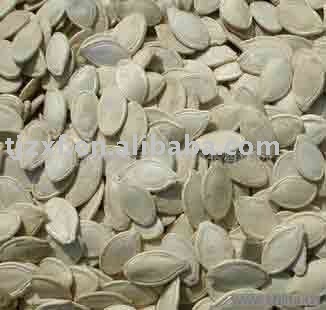 Pumpkin seeds kernels