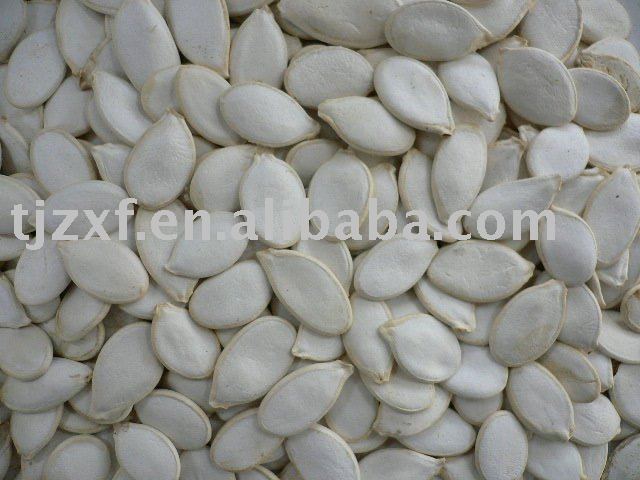 White pumpkin seed kernels