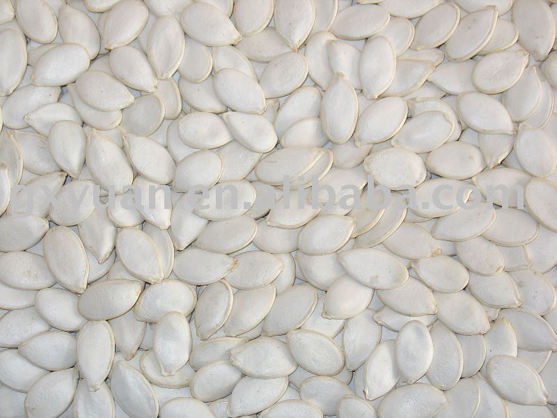 High Quality Pumpkin Seeds