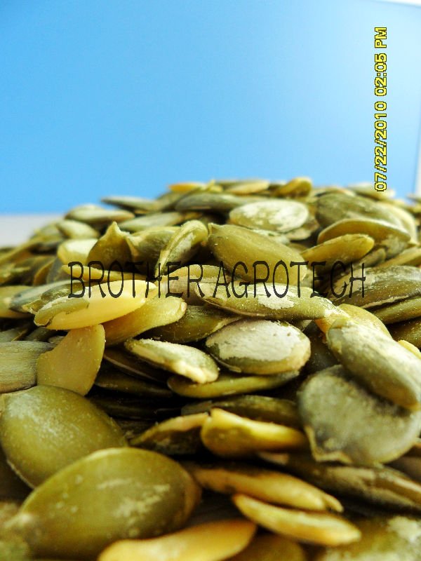 GWS chinese pumpkin seeds crop 2010 pumpkin kernel