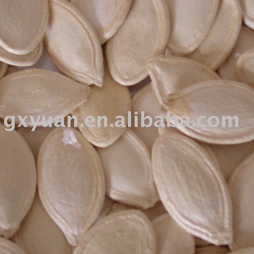 pumpkin Seeds high quality