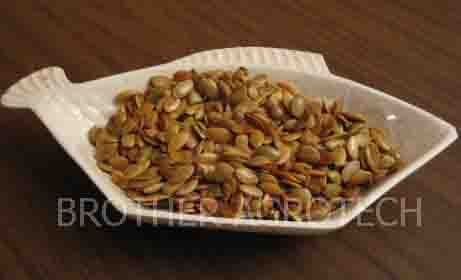 shine pumpkin seed