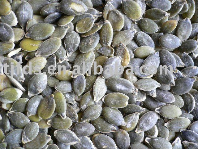 Pumpkin Seed Kernels(GWS)