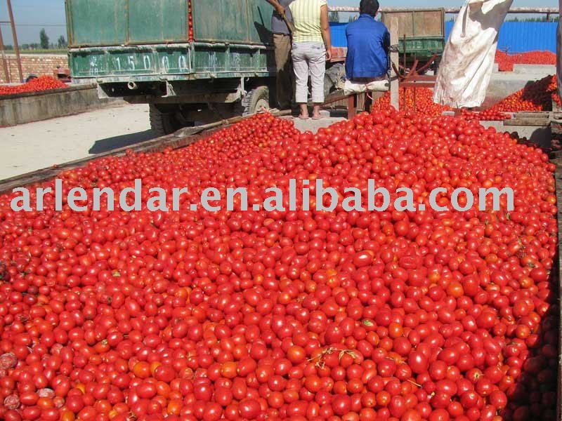 canned tomato paste 28-30