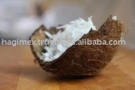 Desiccated coconut powder high fat fine grade